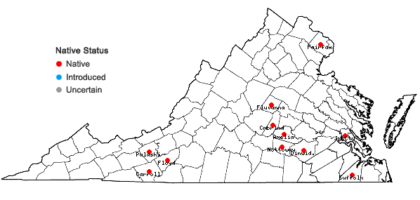 Locations ofEleocharis tenuis (Willd.) Schultes var. pseudoptera (Weath.) Svens. in Virginia
