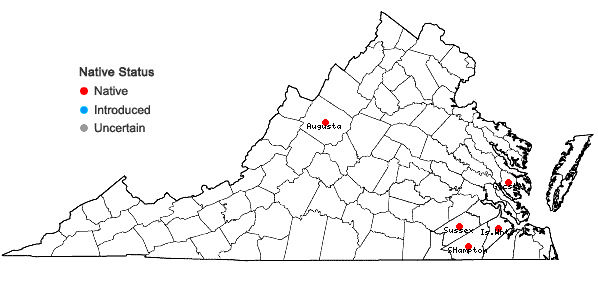 Locations ofEleocharis tricostata Torrey in Virginia