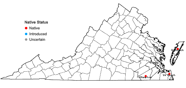 Locations ofEleocharis vivipara Link in Virginia