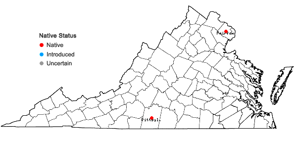 Locations ofEleocharis wolfii (Gray) Gray ex Britt. in H.N. Patterson in Virginia