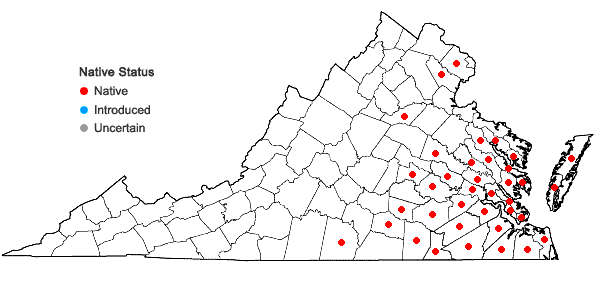 Locations ofElephantopus nudatus Gray in Virginia