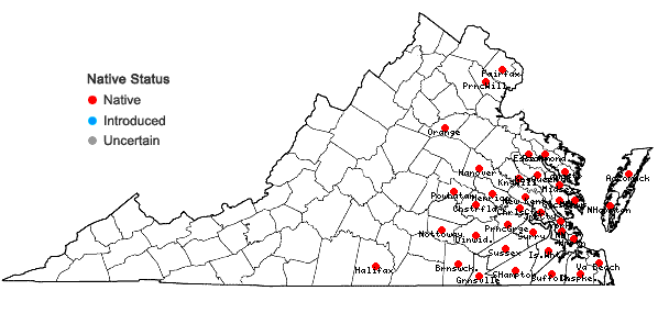 Locations ofElephantopus nudatus Gray in Virginia