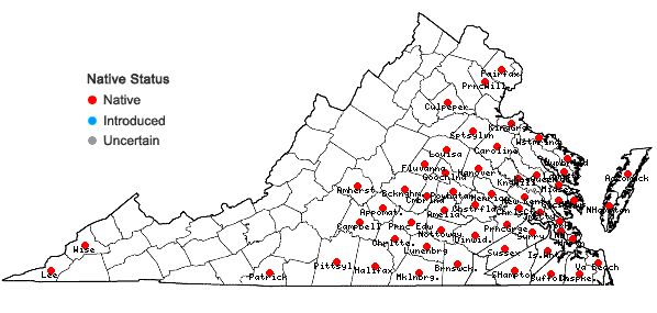 Locations ofElephantopus tomentosus L. in Virginia