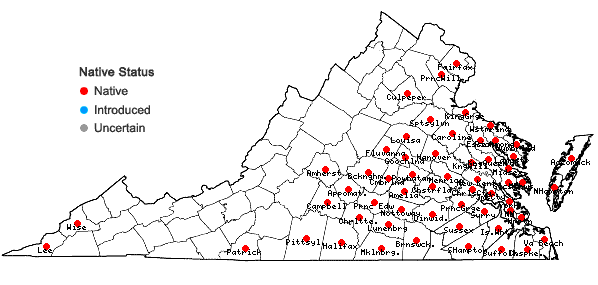 Locations ofElephantopus tomentosus L. in Virginia