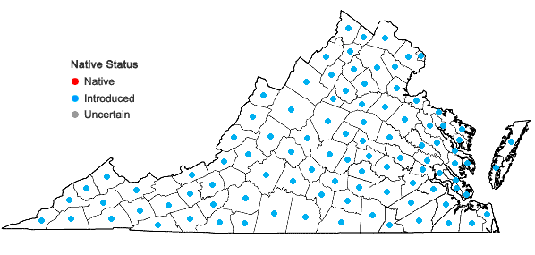 Locations ofEleusine indica (L.) Gaertn. in Virginia