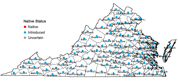 Locations ofEleusine indica (L.) Gaertn. in Virginia