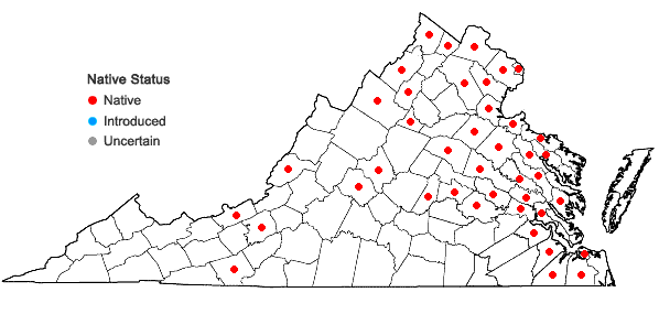 Locations ofElodea nuttallii (Planchon) St. John in Virginia