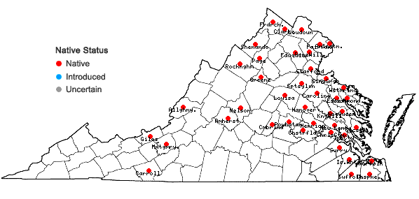 Locations ofElodea nuttallii (Planchon) St. John in Virginia