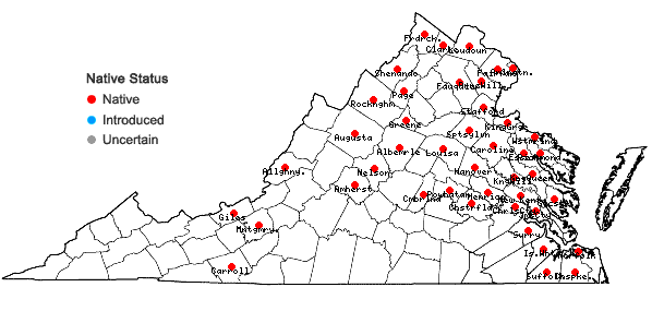 Locations ofElodea nuttallii (Planchon) St. John in Virginia