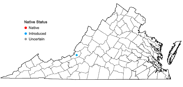 Locations ofElsholtzia ciliata (Thunb.) Hyl. in Virginia