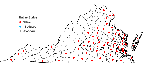 Locations ofElymus glabriflorus (Vasey ex L.H. Dewey) Scribn. & C.R. Ball in Virginia