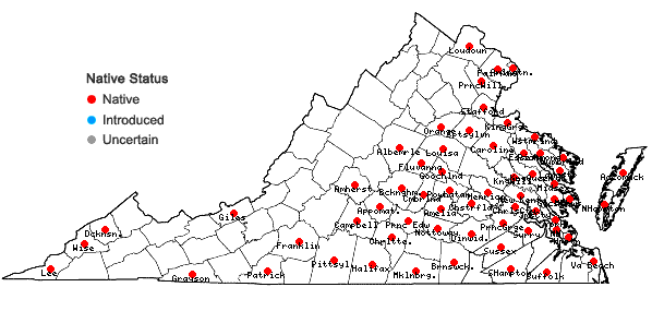 Locations ofElymus glabriflorus (Vasey ex L.H. Dewey) Scribn. & C.R. Ball in Virginia