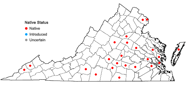 Locations ofElymus glabriflorus (Vasey ex L.H. Dewey) Scribn. & C.R. Ball var. australis (Scribn. & C.R. Ball) J.J.N. Campbell in Virginia