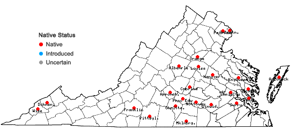 Locations ofElymus glabriflorus (Vasey ex L.H. Dewey) Scribn. & C.R. Ball var. australis (Scribn. & C.R. Ball) J.J.N. Campbell in Virginia