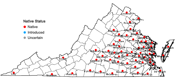 Locations ofElymus glabriflorus (Vasey ex L.H. Dewey) Scribn. & C.R. Ball var. glabriflorus in Virginia