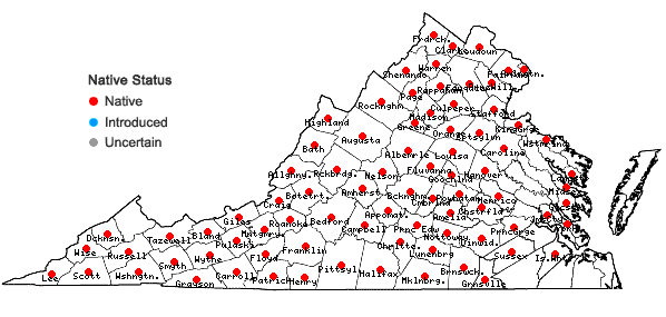 Locations ofElymus hystrix L. var. hystrix in Virginia