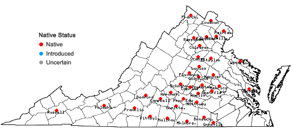 Locations ofElymus hystrix L. var. piedmontanus Poindexter & Weakley in Virginia