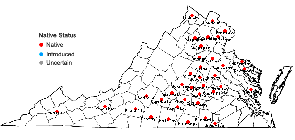 Locations ofElymus hystrix L. var. piedmontanus Poindexter & Weakley in Virginia