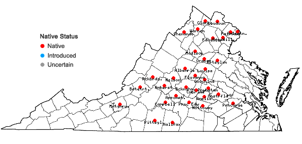 Locations ofElymus macgregorii Brooks & Campbell in Virginia