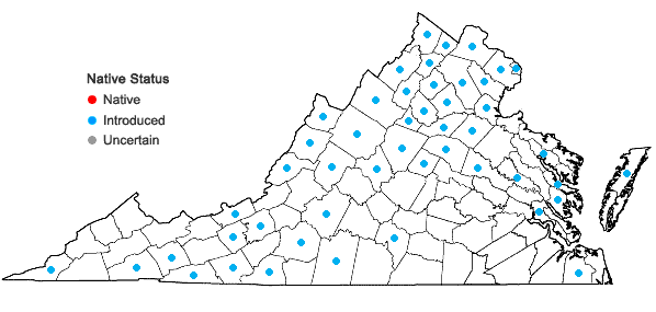 Locations ofElymus repens (L.) Gould in Virginia