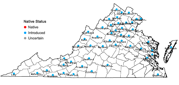 Locations ofElymus repens (L.) Gould in Virginia