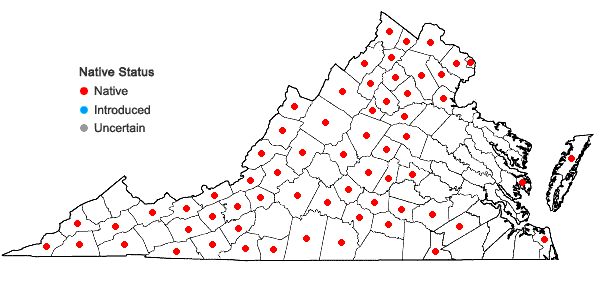 Locations ofElymus riparius Wieg. in Virginia