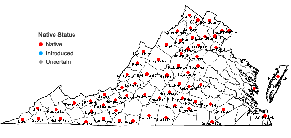 Locations ofElymus riparius Wieg. in Virginia