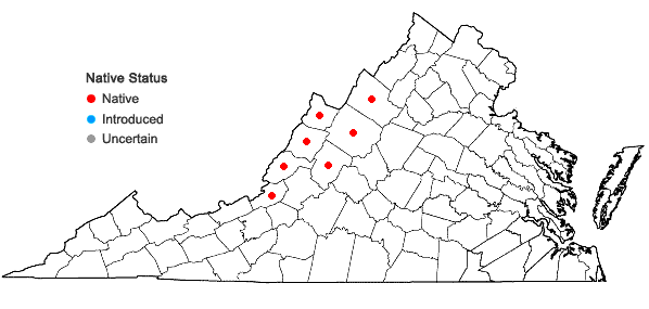 Locations ofElymus trachycaulus (Link) Gould ex Shinners ssp. trachycaulus in Virginia