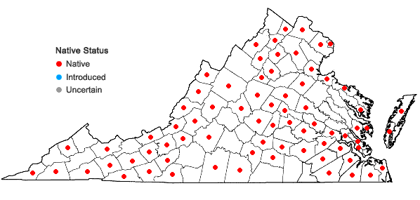 Locations ofElymus villosus Muhl. ex Willd. in Virginia
