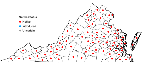 Locations ofElymus villosus Muhl. ex Willd. in Virginia