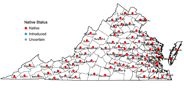 Locations ofElymus villosus Muhl. ex Willd. in Virginia