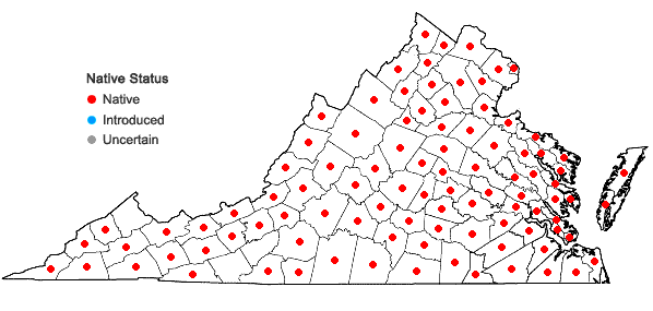 Locations ofElymus virginicus L. var. virginicus in Virginia