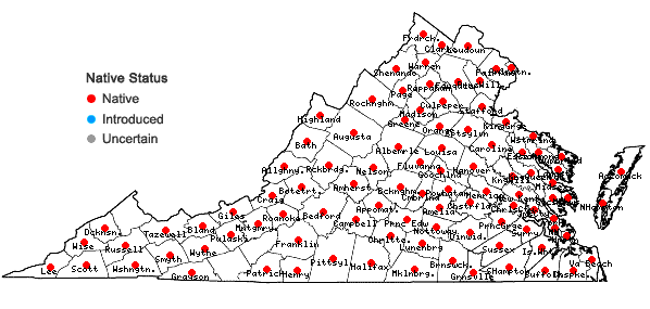 Locations ofElymus virginicus L. var. virginicus in Virginia