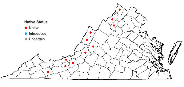 Locations ofEncalypta procera Bruch in Virginia