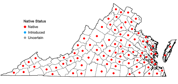 Locations ofEndodeca serpentaria (L.) Raf. in Virginia