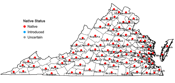 Locations ofEndodeca serpentaria (L.) Raf. in Virginia