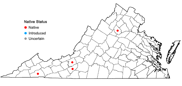Locations ofEndotropis alnifolia (L'Her.) Hauensch. in Virginia