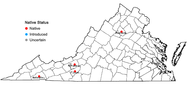 Locations ofEndotropis alnifolia (L'Her.) Hauensch. in Virginia