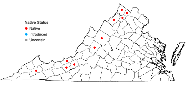 Locations ofEndotropis lanceolata (Pursh) Hauensch. in Virginia