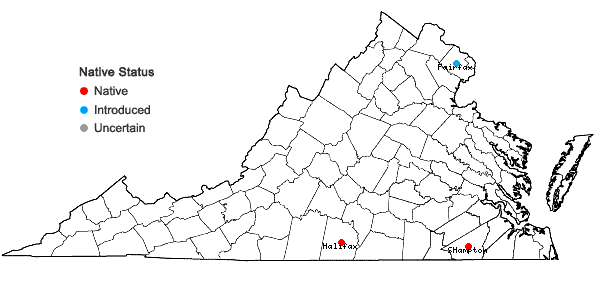 Locations ofEnemion biternatum Raf. in Virginia