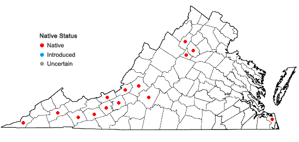 Locations ofEntodon brevisetus (Hook. & Wilson) Lindb. in Virginia