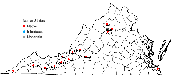 Locations ofEntodon brevisetus (Hook. & Wilson) Lindb. in Virginia