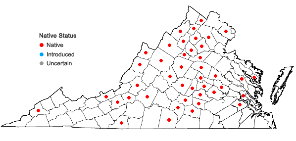 Locations ofEntodon cladorrhizans (Hedw.) Müll. Hal. in Virginia