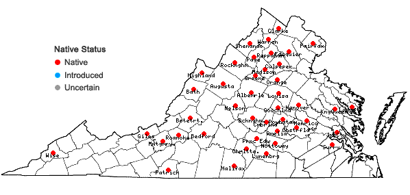 Locations ofEntodon cladorrhizans (Hedw.) Müll. Hal. in Virginia