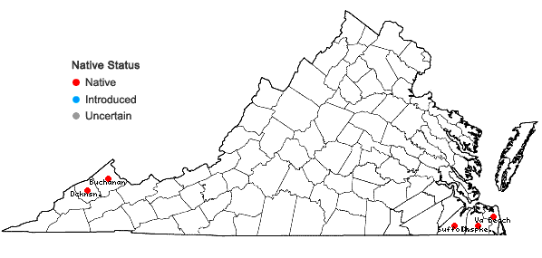 Locations ofEntodon macropodus (Hedw.) Müll. Hal. in Virginia