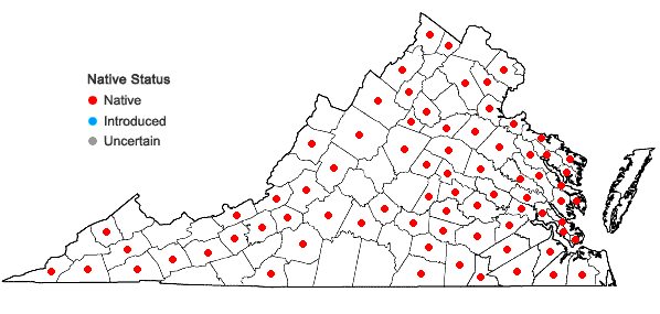 Locations ofEntodon seductrix (Hedw.) Müll. Hal. in Virginia