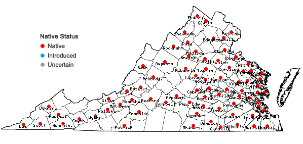 Locations ofEntodon seductrix (Hedw.) Müll. Hal. in Virginia