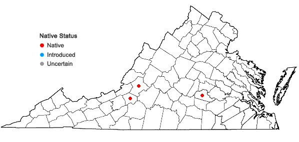 Locations ofEphemerum crassinervium (Schwägr.) Hampe var. crassinervium in Virginia