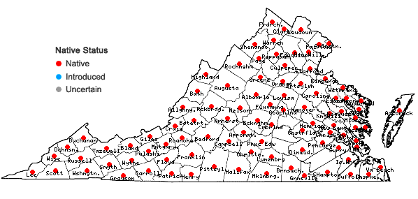 Locations ofEpigaea repens L. in Virginia