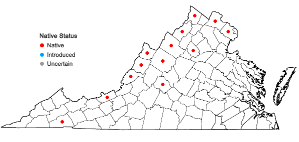 Locations ofEpilobium ciliatum Raf. ssp. ciliatum in Virginia